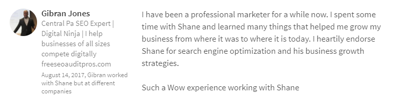 Georgia SEO Explosion LinkedIn Review 8